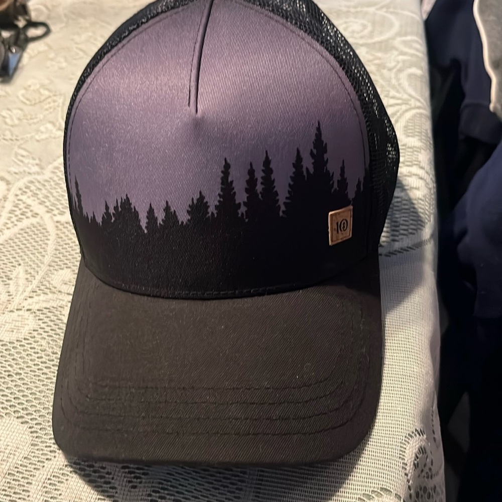 Tentree hat